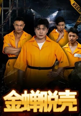风骚律师